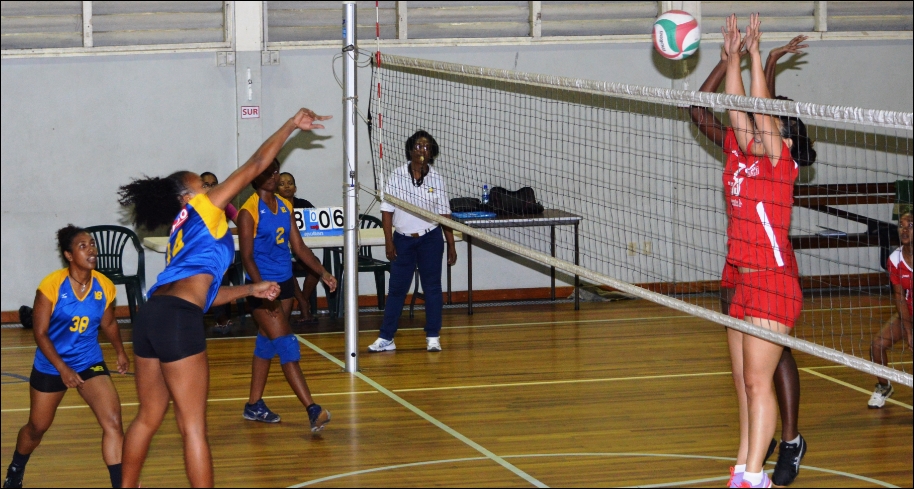 yellow birds wint in straight sets