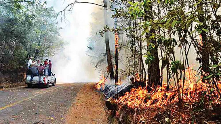 14-Mexico-kampt-met-159-natuurbranden-tijdens-hittegolf