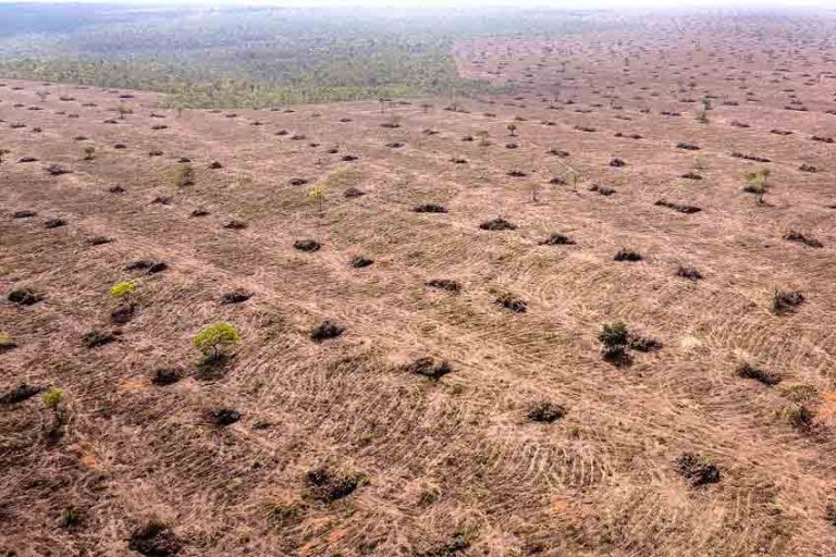 ZEKER-PLAATSEN--Ontbossing-in-Cerrado-in-Brazilië-overstijgt