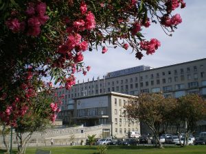 Portugese politie valt ministerie en ziekenhuis binnen