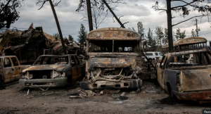 8 (04.00 uur) First images of Jasper after 100m high wildfire hit