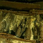 Divers find 19th-century shipwreck laden with unopened bottles of champagne