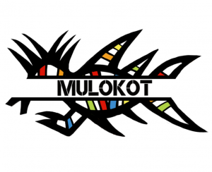 Stichting Mulokot