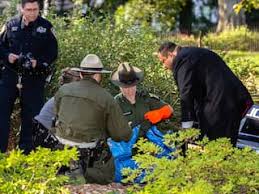 2 Robert F. Kennedy jr. niet vervolgd voor dumpen van dode beer in Central Park