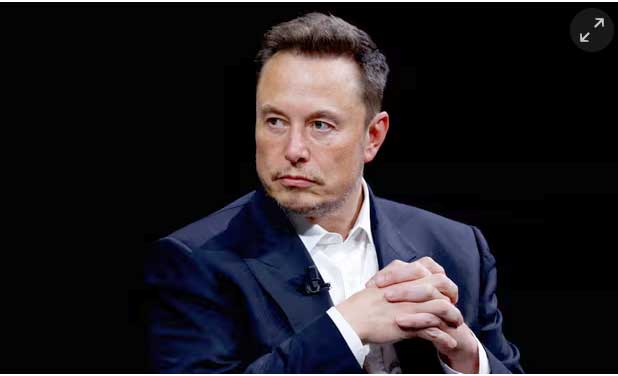 7-(07-Elon