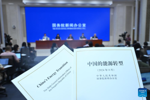 China issues white paper on energy transition