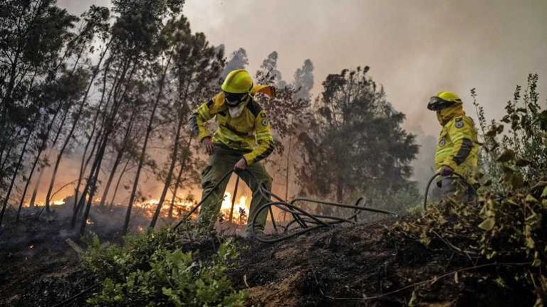 Brandweerlieden omgekomen bij bestrijding