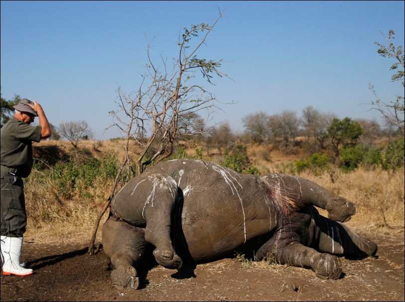 zuid afrika