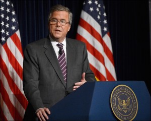 jeb bush