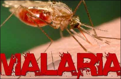 malaria