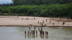 5 Uncontacted tribe sighted in Peruvian Amazon where loggers are active