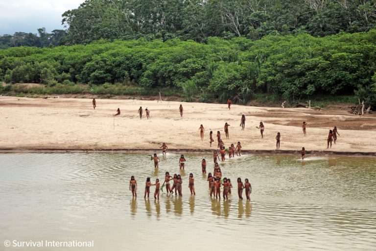 4 Geïsoleerde stam in Peruaanse jungle schiet twee houthakkers dood met pijlen