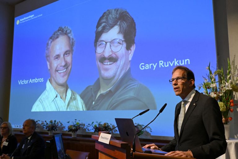 3 Nobel Prize goes to microRNA researchers