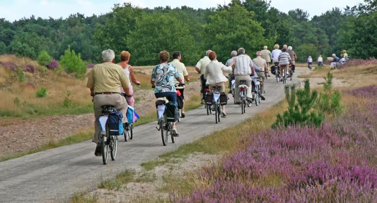 7 Nederlands pensioenstelsel opnieuw