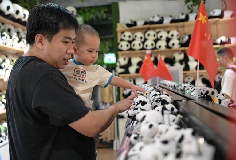 (241004) -- HAIKOU, Oct. 4, 2024 (Xinhua) -- Tourists shop at a souvenir shop of Hainan Tropical Wildlife Park and Botanical Garden in Haikou, south China's Hainan Province, Oct. 3, 2024.
  Exhibition areas of Hainan Tropical Wildlife Park and Botanical Garden were damaged in September due to the impact of Super Typhoon Yagi. Thanks to the restoration efforts for over 20 days, the wildlife park and botanical garden have been reopened to public recently. (Xinhua/Pu Xiaoxu)